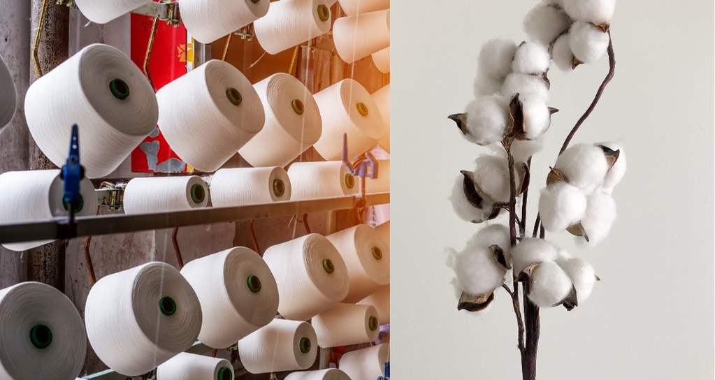 Selber designte Bio Socken in Top Qualität 